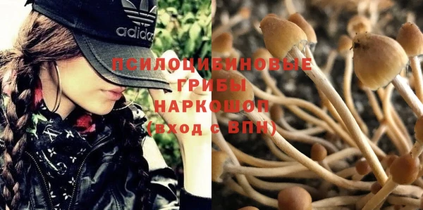 кокаин колумбия Алзамай