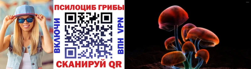 Галлюциногенные грибы мицелий  кракен ССЫЛКА  Павлово 